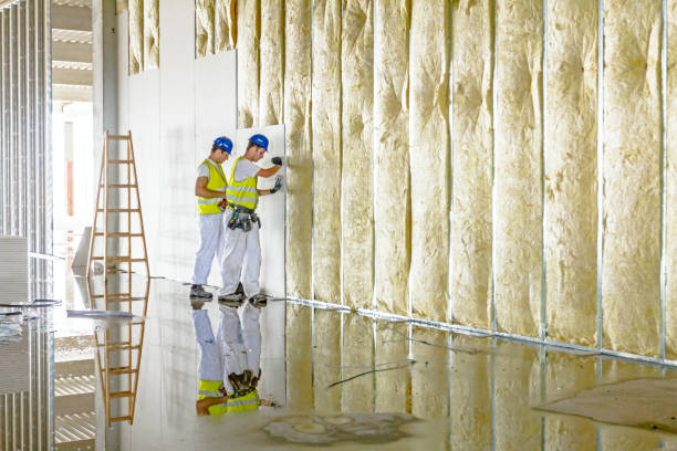 Eco-Friendly or Green Insulation Solutions in Washington, MO